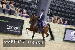 22BUCK_03594 proof