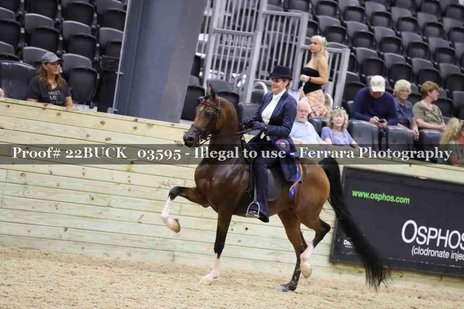Proof 22BUCK_03595