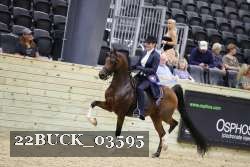 22BUCK_03595 proof