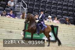 22BUCK_03596 proof