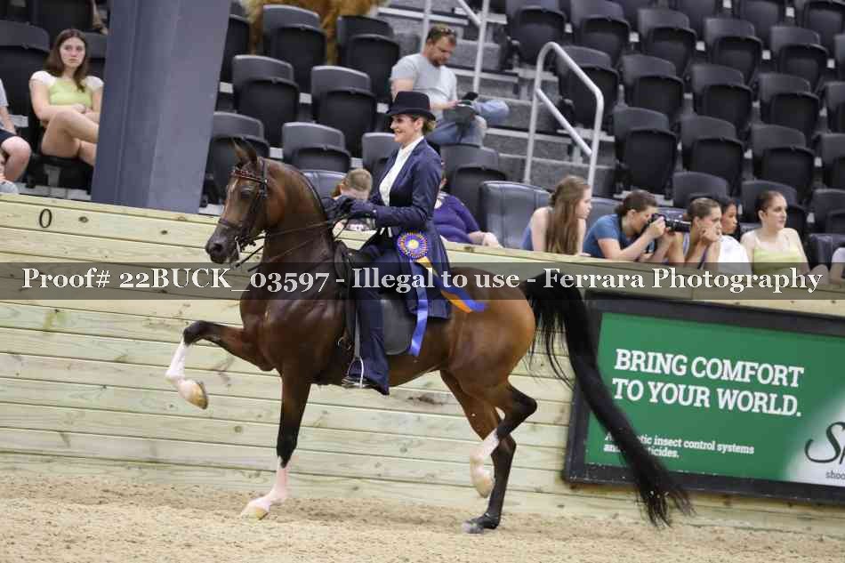 Proof 22BUCK_03597