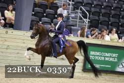 22BUCK_03597 proof