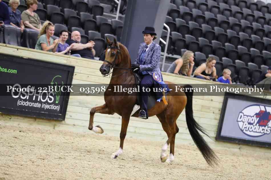 Proof 22BUCK_03598