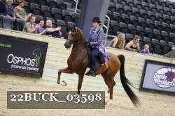 22BUCK_03598 proof