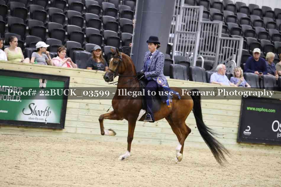 Proof 22BUCK_03599