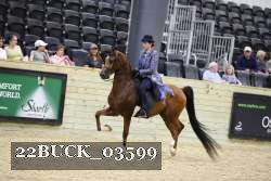 22BUCK_03599 proof