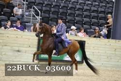 22BUCK_03600 proof