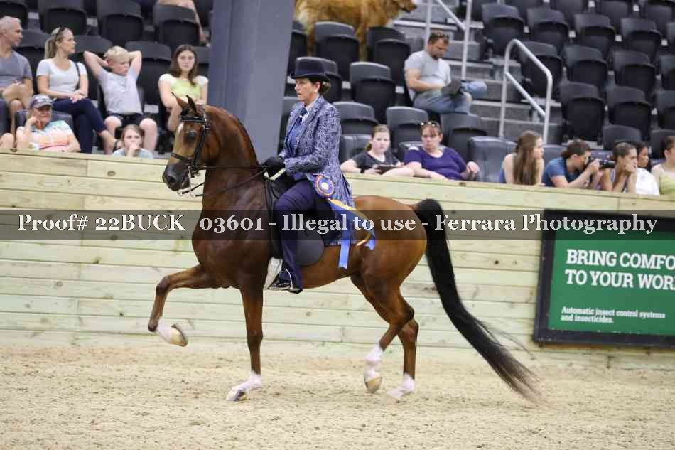 Proof 22BUCK_03601