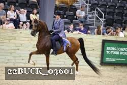 22BUCK_03601 proof