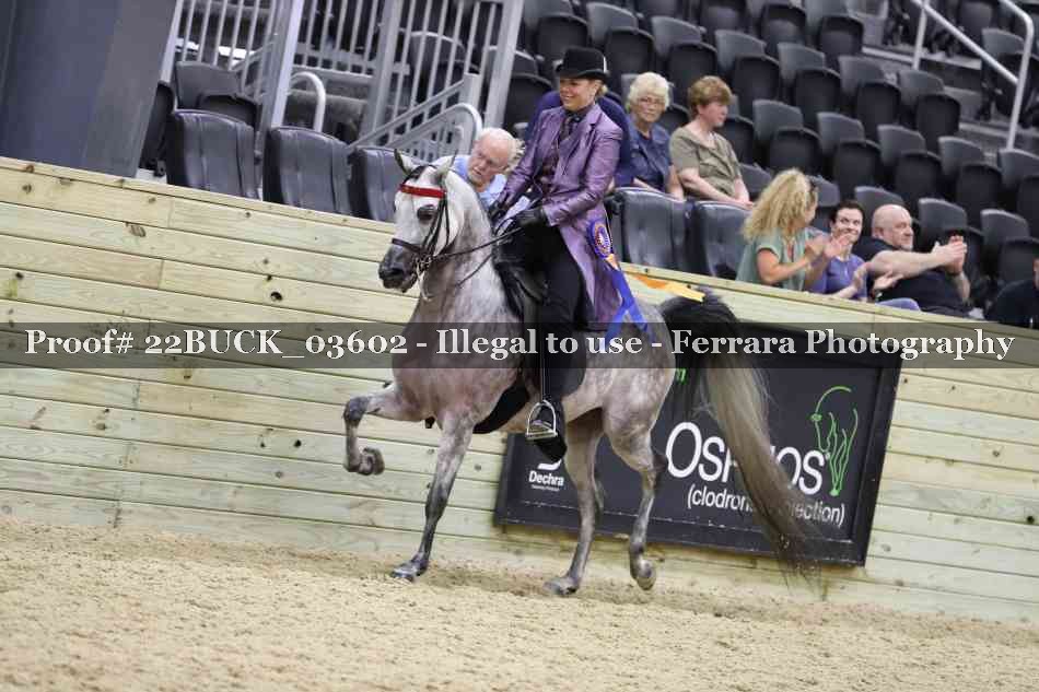 Proof 22BUCK_03602