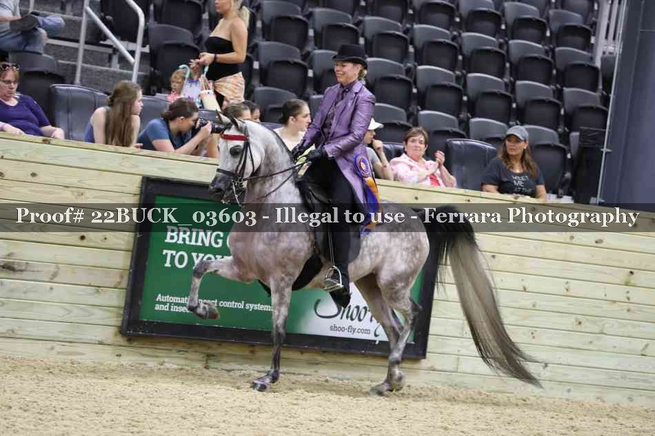 Proof 22BUCK_03603