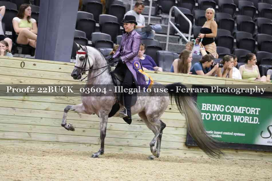 Proof 22BUCK_03604