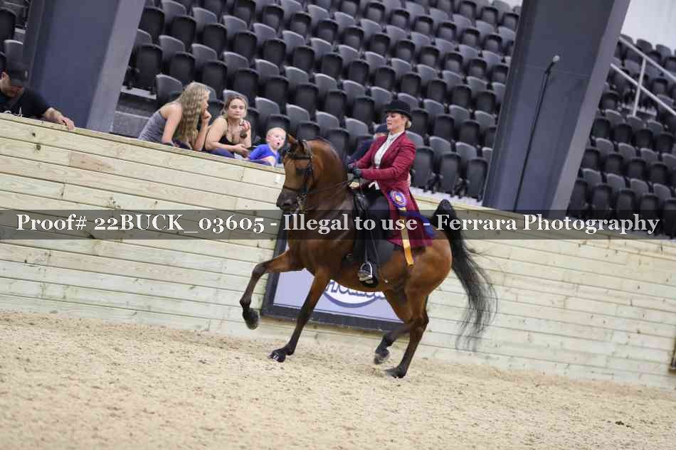 Proof 22BUCK_03605