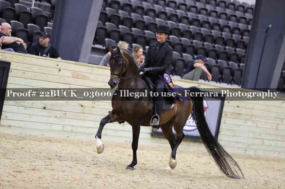 Proof 22BUCK_03606