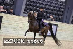 22BUCK_03606 proof