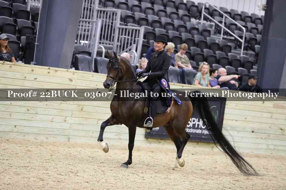 Proof 22BUCK_03607