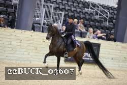 22BUCK_03607 proof