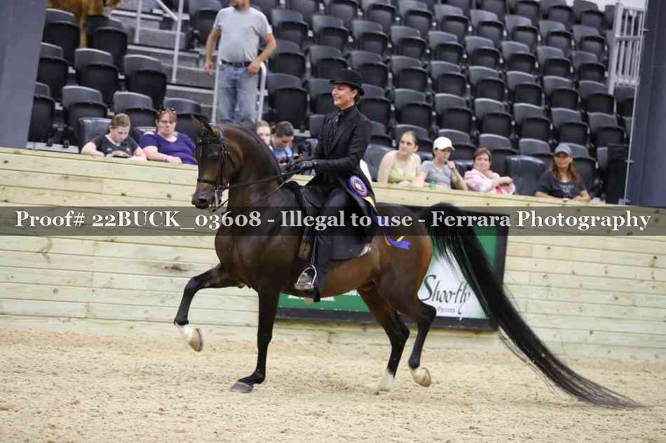 Proof 22BUCK_03608