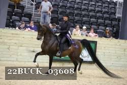 22BUCK_03608 proof