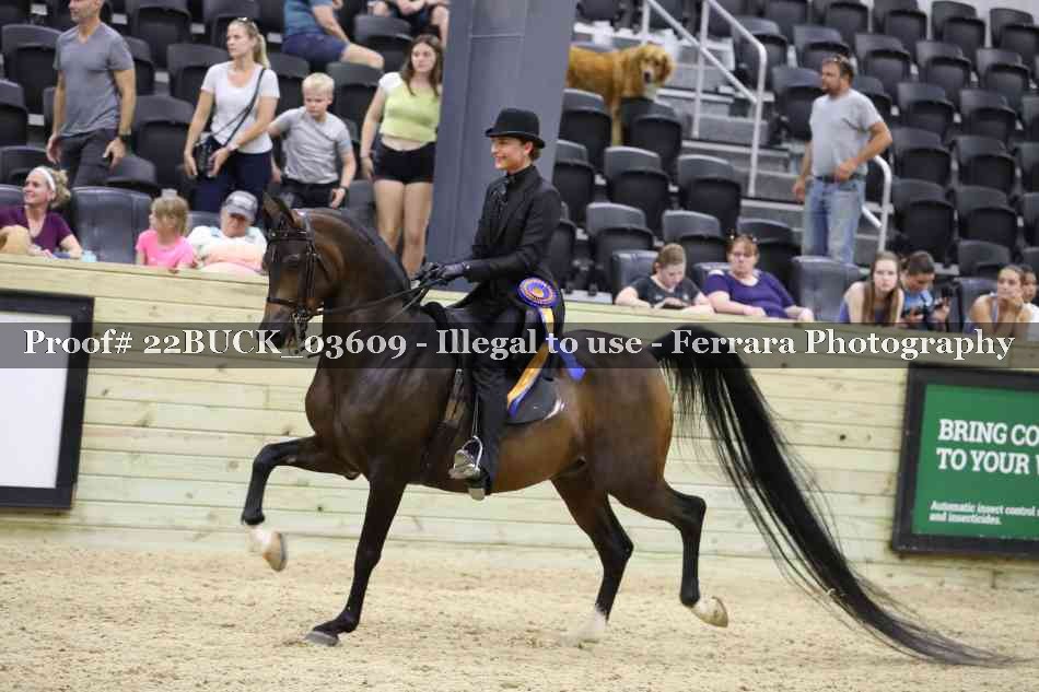 Proof 22BUCK_03609