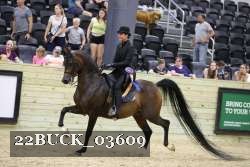 22BUCK_03609 proof