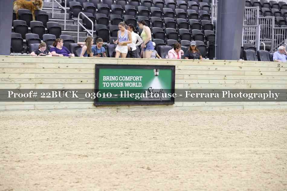 Proof 22BUCK_03610