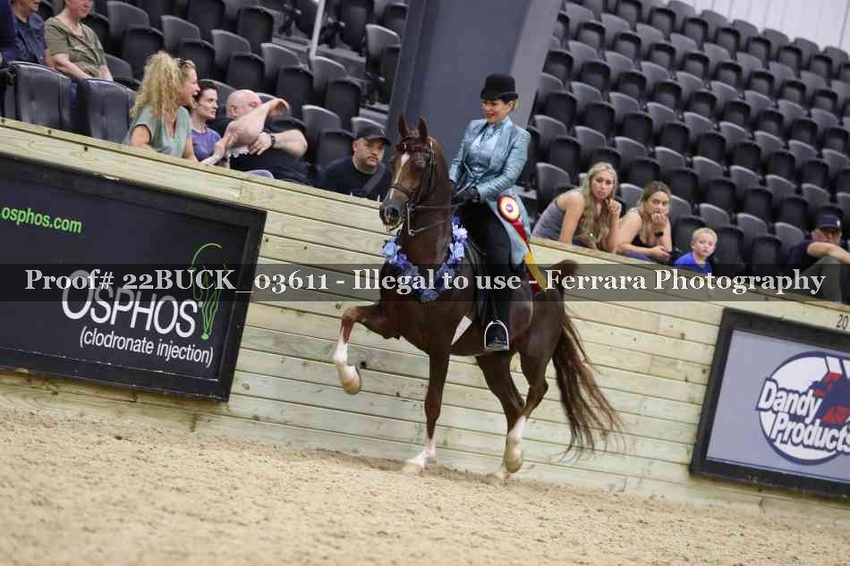 Proof 22BUCK_03611