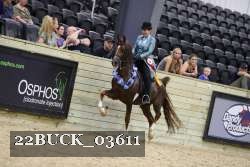 22BUCK_03611 proof