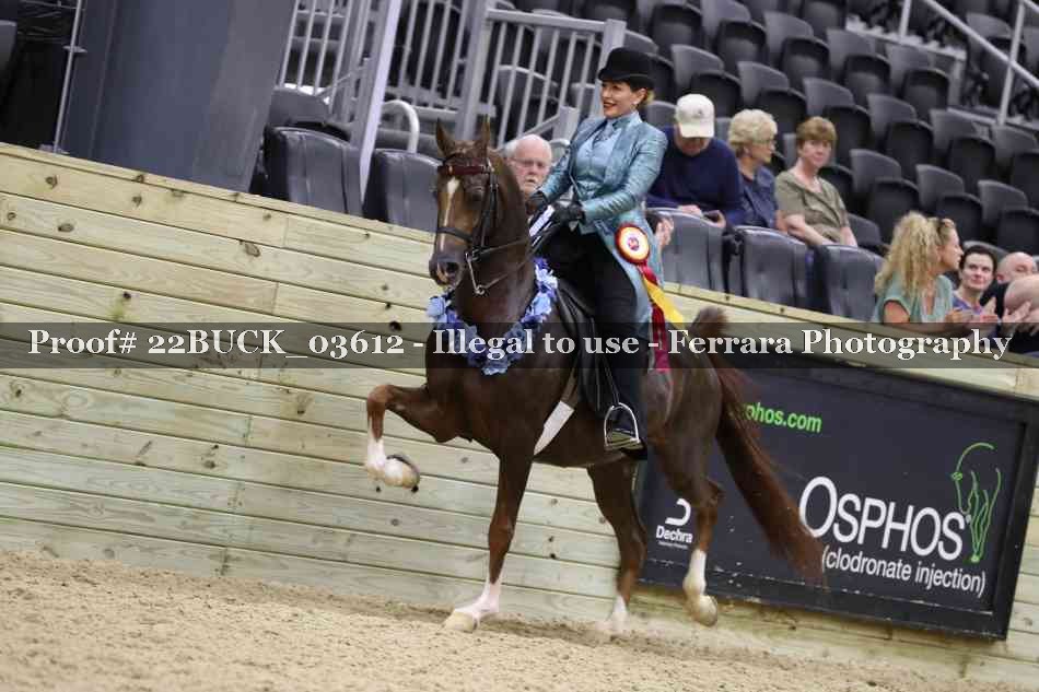 Proof 22BUCK_03612