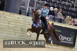 22BUCK_03612 proof