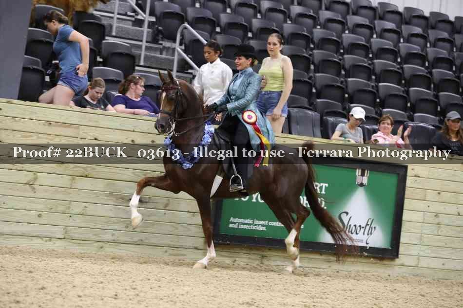 Proof 22BUCK_03613