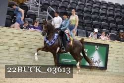 22BUCK_03613 proof