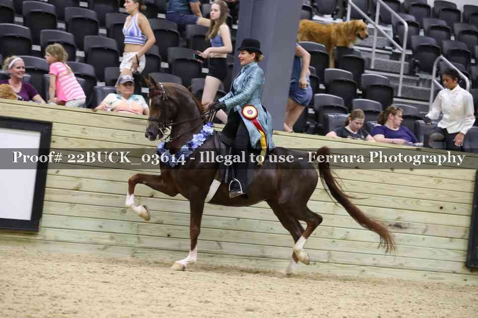 Proof 22BUCK_03614
