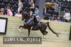 22BUCK_03614 proof