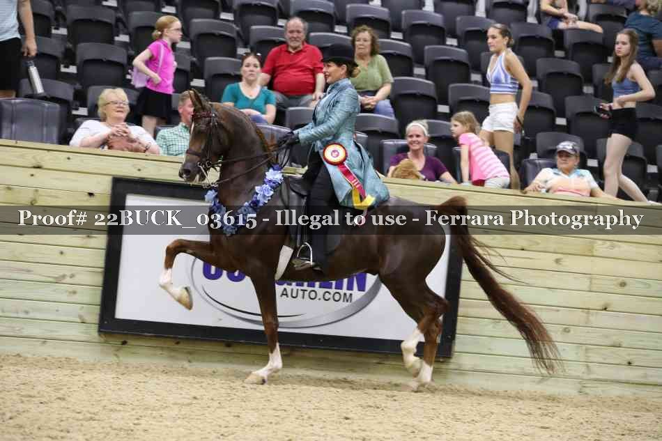 Proof 22BUCK_03615