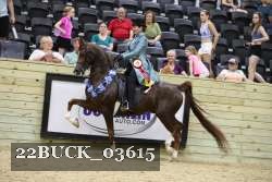 22BUCK_03615 proof