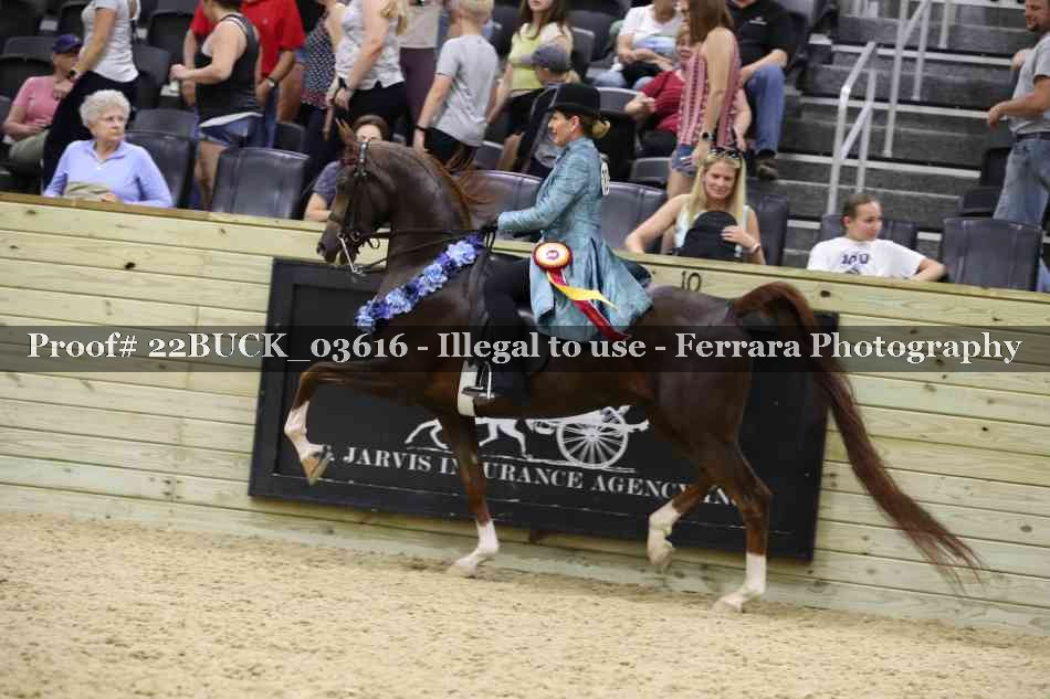 Proof 22BUCK_03616
