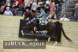 22BUCK_03616 proof