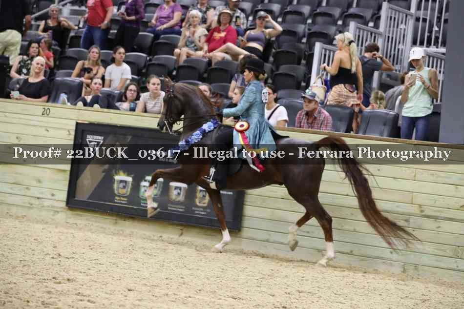 Proof 22BUCK_03617