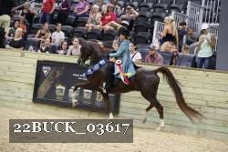 22BUCK_03617 proof