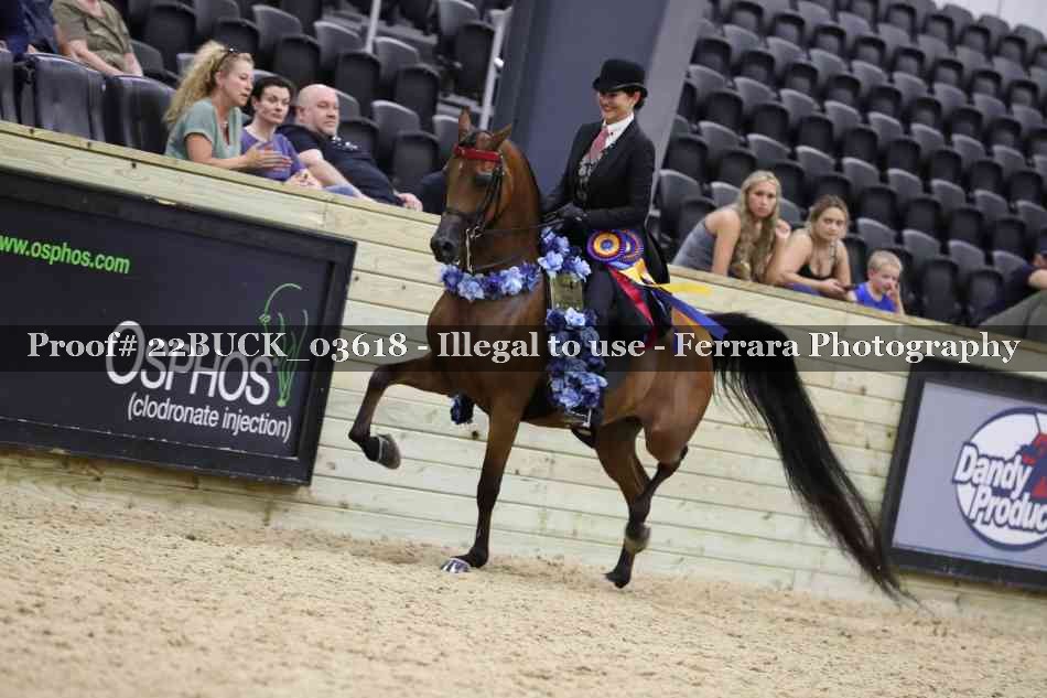 Proof 22BUCK_03618