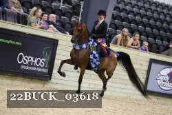 22BUCK_03618 proof