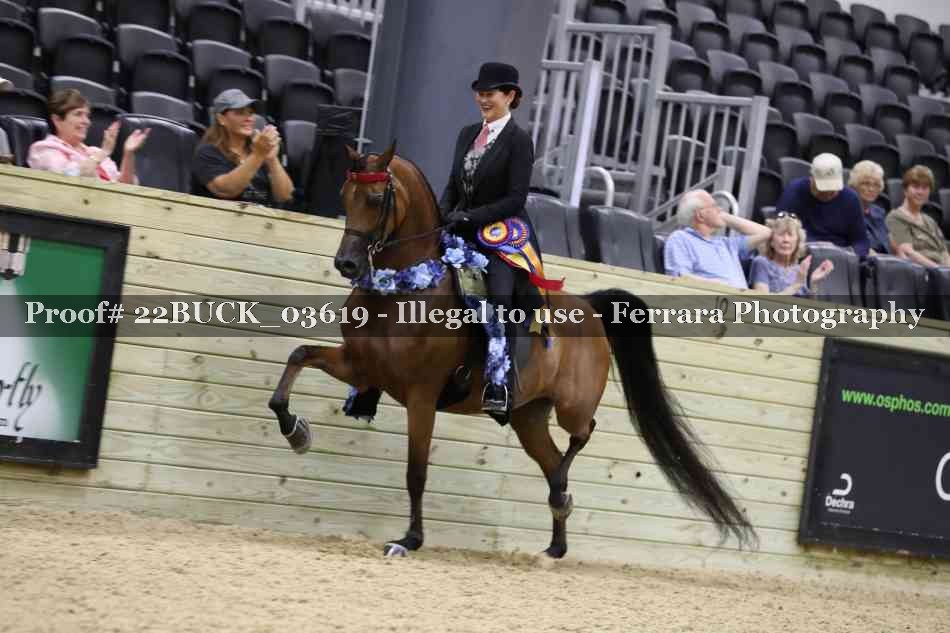 Proof 22BUCK_03619