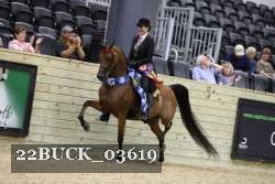 22BUCK_03619 proof