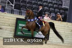 22BUCK_03620 proof