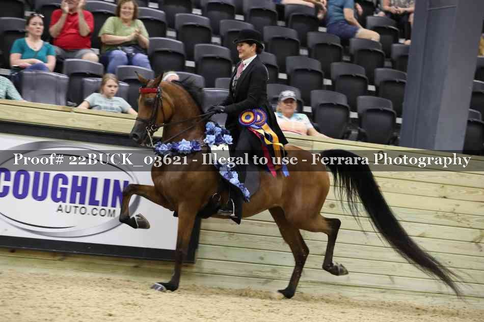 Proof 22BUCK_03621