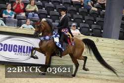 22BUCK_03621 proof