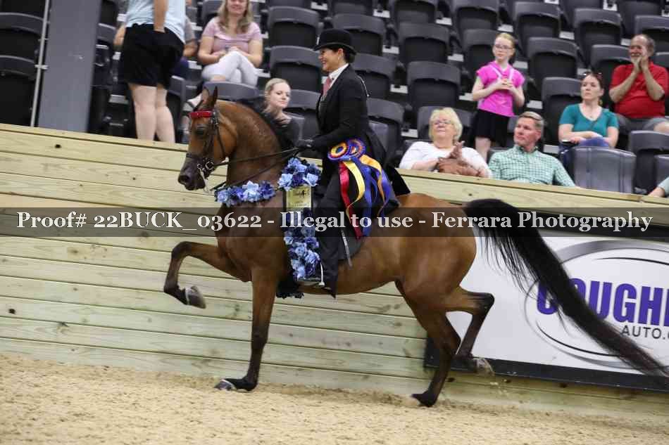 Proof 22BUCK_03622