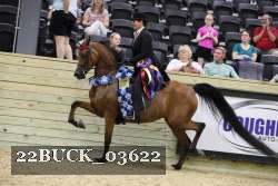 22BUCK_03622 proof