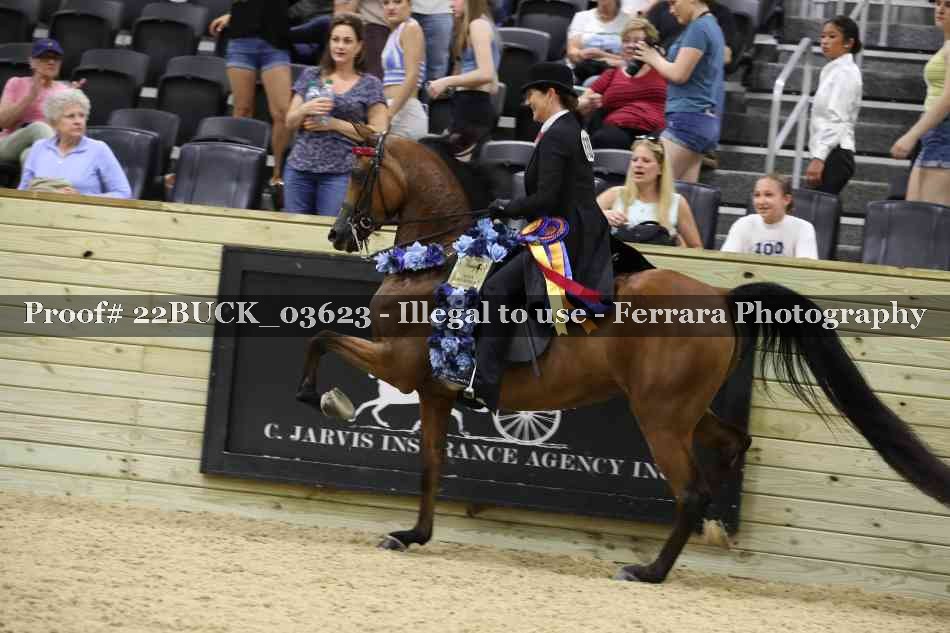 Proof 22BUCK_03623